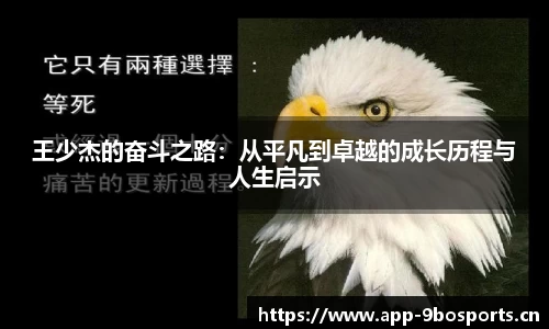 王少杰的奋斗之路：从平凡到卓越的成长历程与人生启示